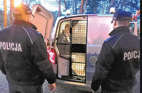 Kosztowne skutki kradzieży sklepowych