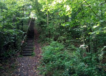 Wirus a żywot pustelnika