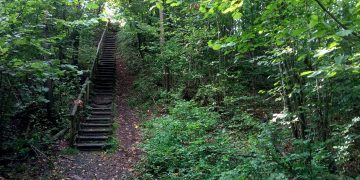 Wirus a żywot pustelnika