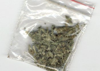 Przekonywał, że ma herbatę. Okazało się, że to marihuana