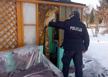 Młoda kobieta włamywała się do altanek. Została zatrzymana przez policjantów