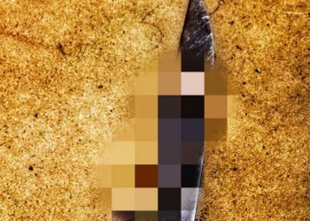 35 latek zatrzymany za śmiertelne ugodzenie nożem