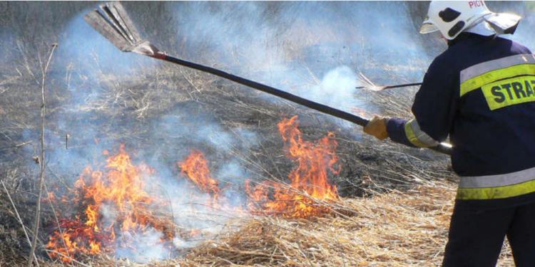 Podpalał trawę przy drodze – został zatrzymany