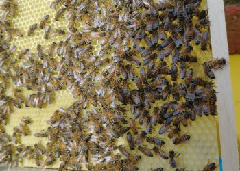 Jest nowocześniej, ale niektórych rzeczy nie można zmieniać …