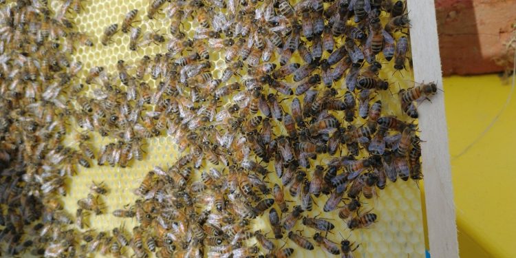 Jest nowocześniej, ale niektórych rzeczy nie można zmieniać …