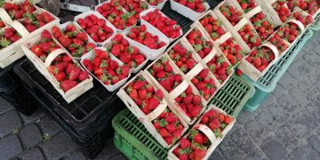 16-latkowie włamali się do stoiska z truskawkami.