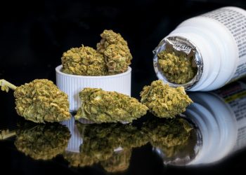 17-latek miał przy sobie marihuanę.