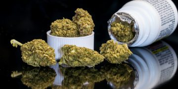 17-latek miał przy sobie marihuanę.