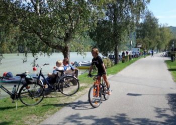 Jakie są uprawnienia wymagane do kierowania rowerem?