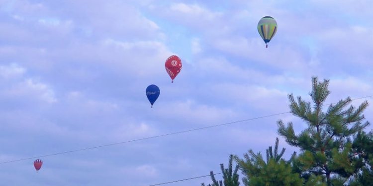 Guma balonowa, czyli zapiski frustrata