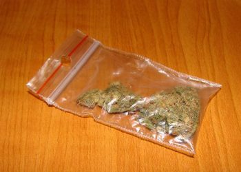 Policjanci zatrzymali trzech mężczyzn z narkotykami