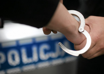 Kilkukrotnie włamywał się do altanek – został zatrzymany