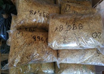 Zabezpieczony tytoń.