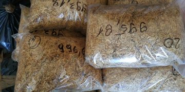 Zabezpieczony tytoń.