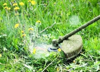 Nietrzeźwy pracownik kosił trawę