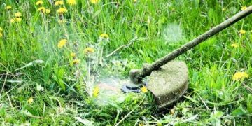 Nietrzeźwy pracownik kosił trawę