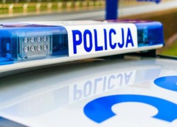 Kradzieże i włamania zakończone tymczasowym aresztowaniem