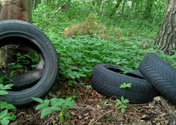 Wrzucanie śmieci do lasu jest karalne! Można reagować również za pomocą KMZB