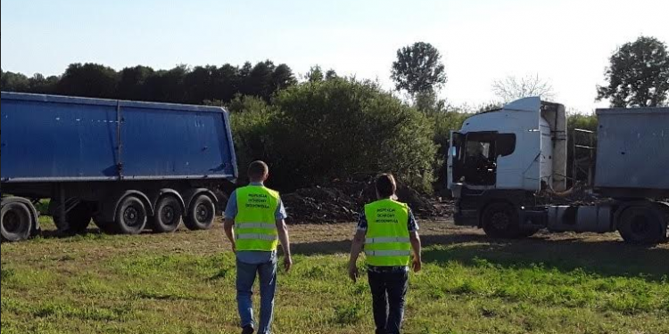 Ścigają przestępców, którzy zagrażają środowisku naturalnemu