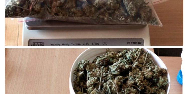 Miał marihuanę – został zatrzymany