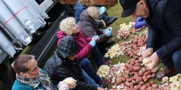 Salezjański Festyn Rodzinny w Mrozach Wielkich. To już tradycja