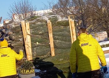 Choinki od RMF trafiły do ełczan