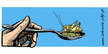 Pizza z mąki ze świerszczy, czyli radosna twórczość eurokratów