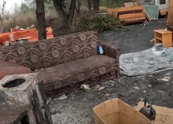 Białe Lilie dla Smerfika! – komentarz