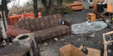 Białe Lilie dla Smerfika! – komentarz