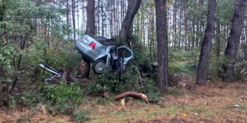 Auto wbiło się w drzewo. Śmierć na miejscu
