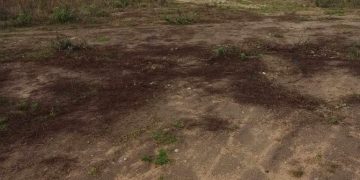 Makabryczne znaleziska. Drastyczne zdjęcia.