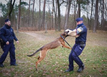 Leia i Iskra – silne charaktery, które nie znoszą bezczynności