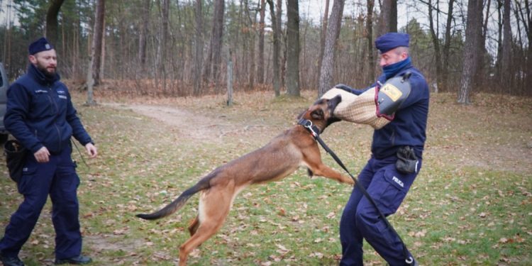 Leia i Iskra – silne charaktery, które nie znoszą bezczynności