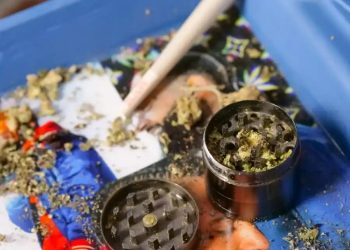 Szkolna wypraw(k)a: mefedron, haszysz, marihuan(k)a