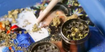 Szkolna wypraw(k)a: mefedron, haszysz, marihuan(k)a