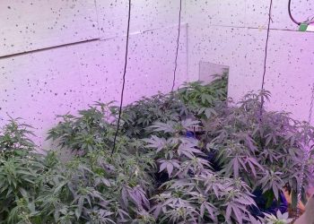 Breaking Bad na Mazurach