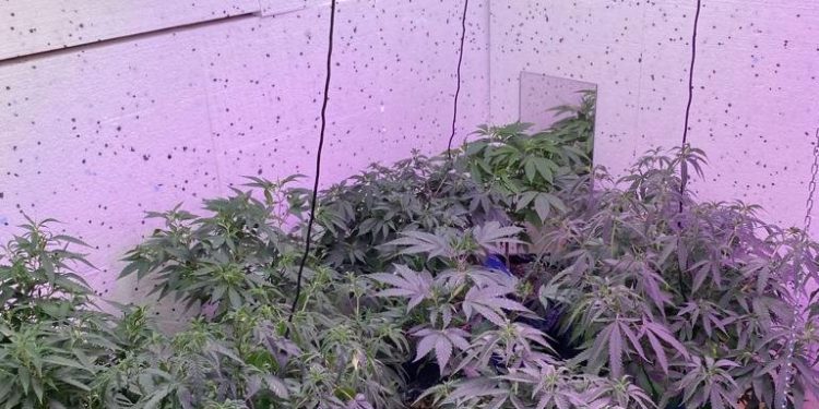 Breaking Bad na Mazurach