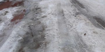 Śnieg i farbowane lisy, czyli czekając na odwilż