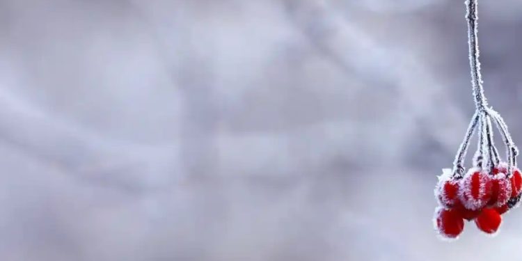 Ciało 50-latka w lesie. Są wyniki sekcji