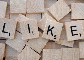 Wybory? Po co? Głosujmy lajkami!