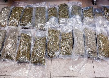 22 kg marihuany ukryte w kabinie ciężarówki