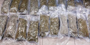 22 kg marihuany ukryte w kabinie ciężarówki