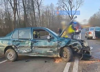 Ace Vent(o)ra – o włos od tragedii