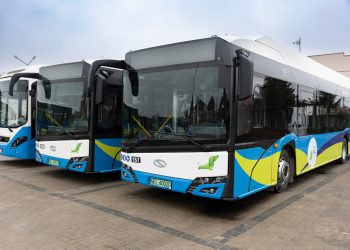 Elektryka prąd nie tyka?