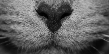 Na Barankach nie jest bajka – smród nie tylko z ranka