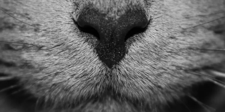 Na Barankach nie jest bajka – smród nie tylko z ranka