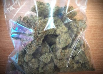 W młynek susz i ruszaj już!