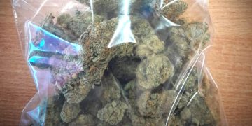 W młynek susz i ruszaj już!