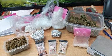 Sokół odleciał. Wylądował w klatce