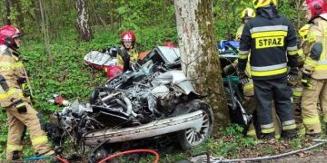 BMW wbiło się w drzewo. Nie żyje 22-letnia pasażerka.
